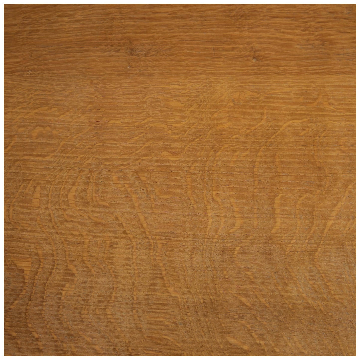 Squirrelman (Ex-Mouseman) Arts & Crafts Yorkshire School English Oak Dining Table
